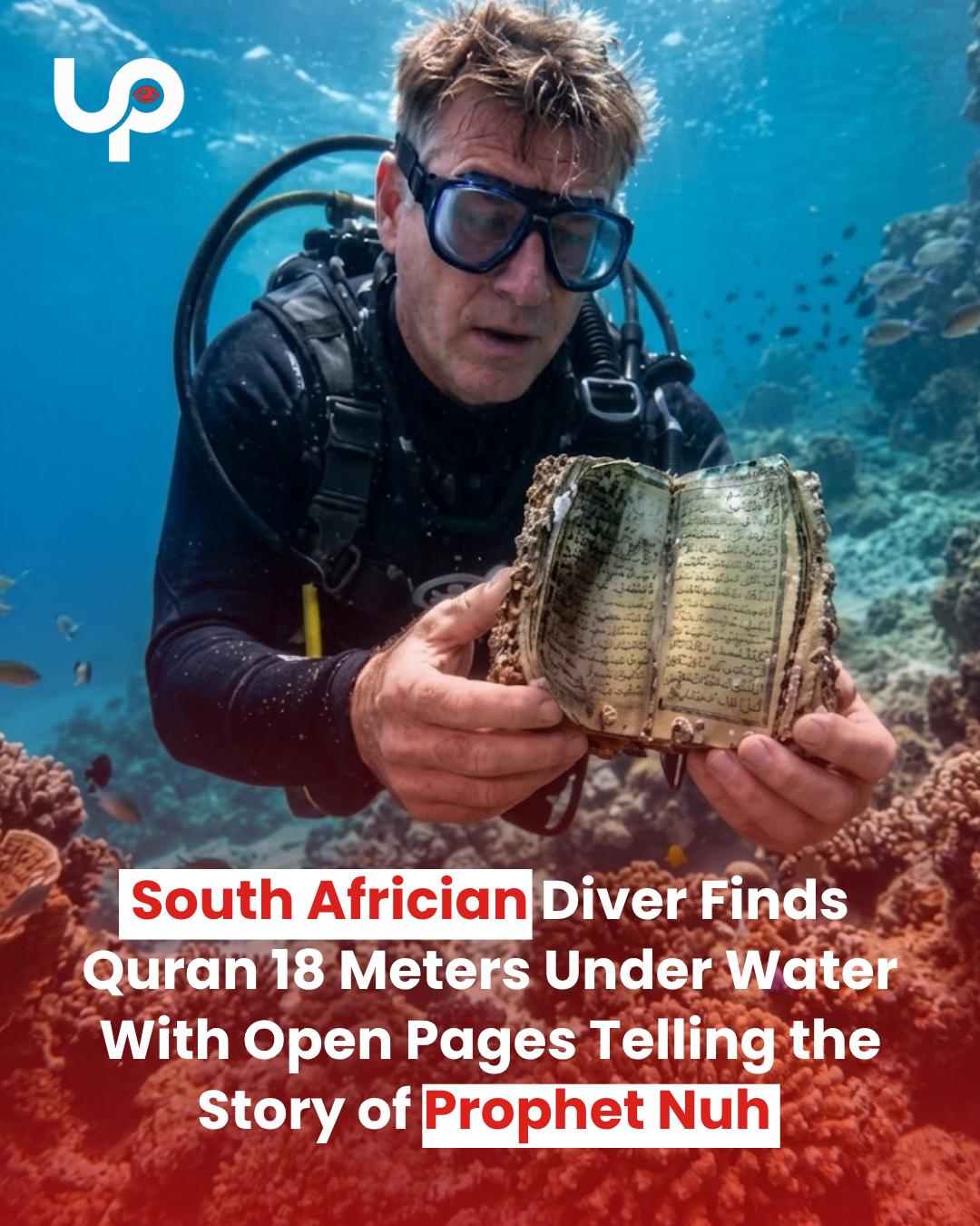 A remarkable underwater discovery has captured attention online.